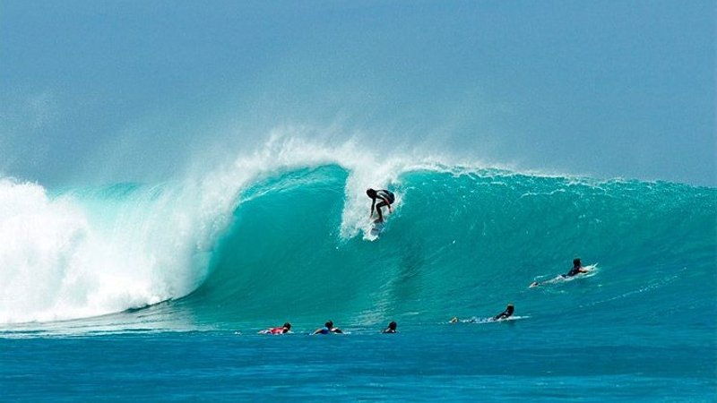 Surf