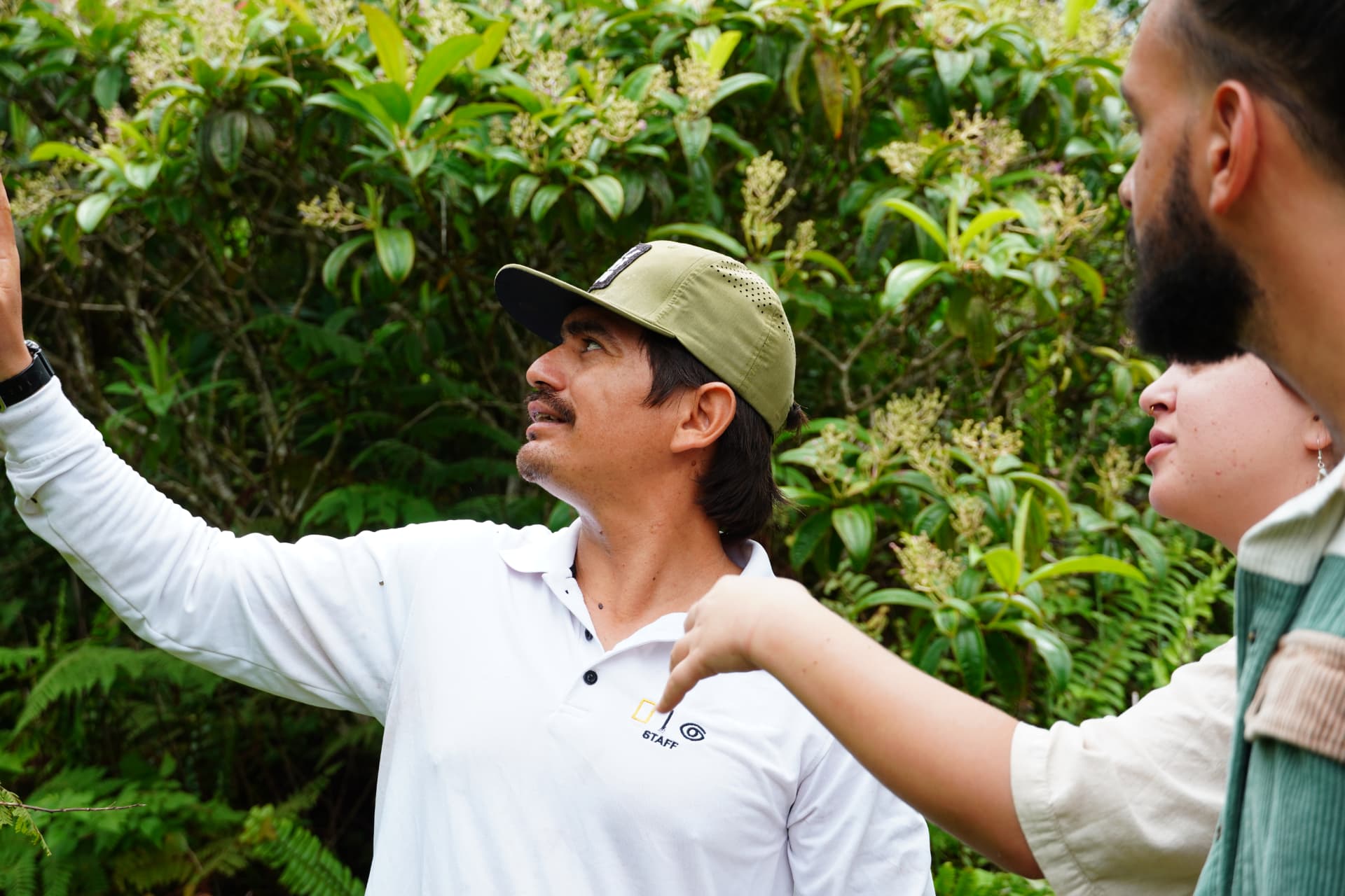Naturalist guide pointing out endemic plants to travellers in the highlands