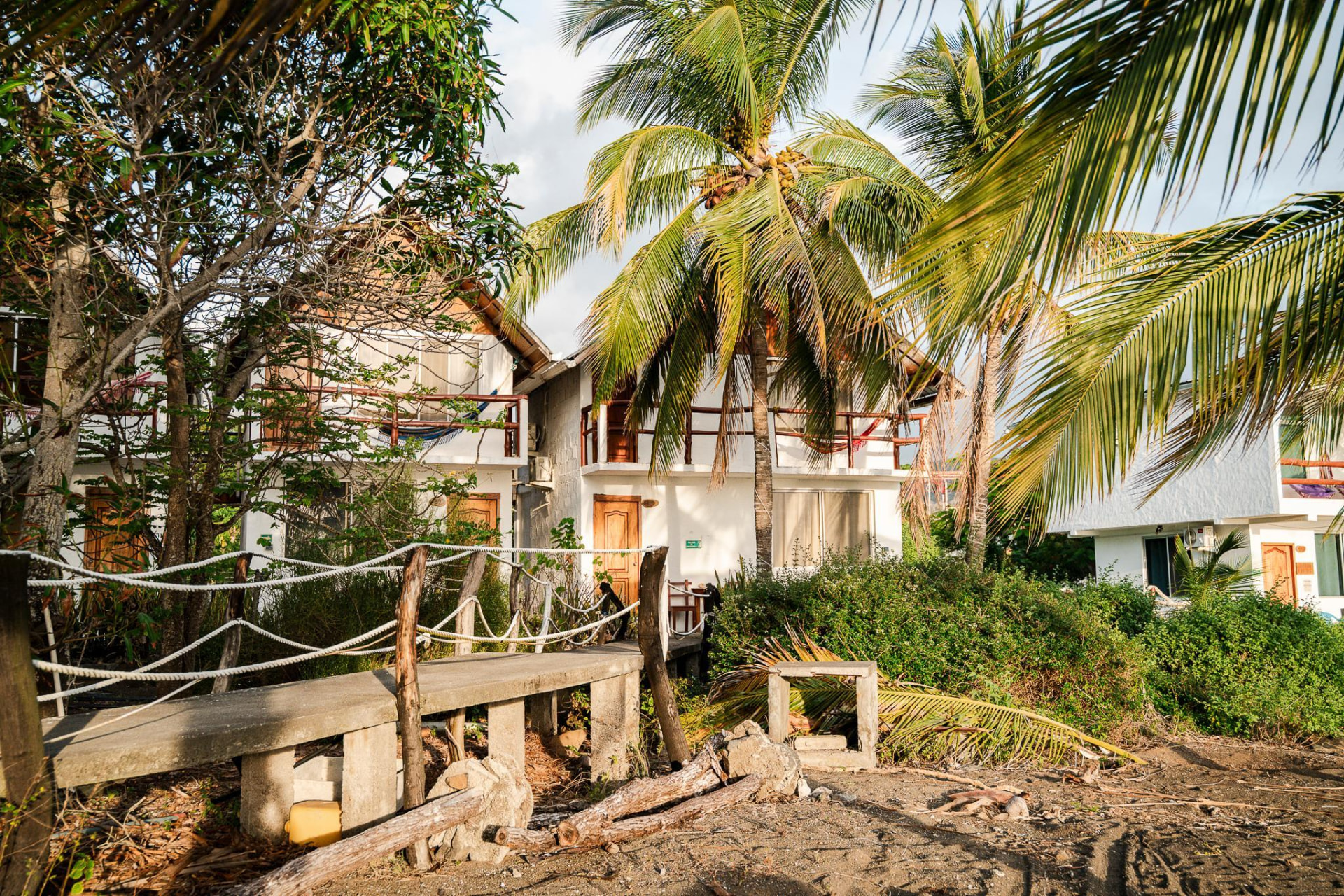 Palm trees and guest houses beside the beach on Floreana