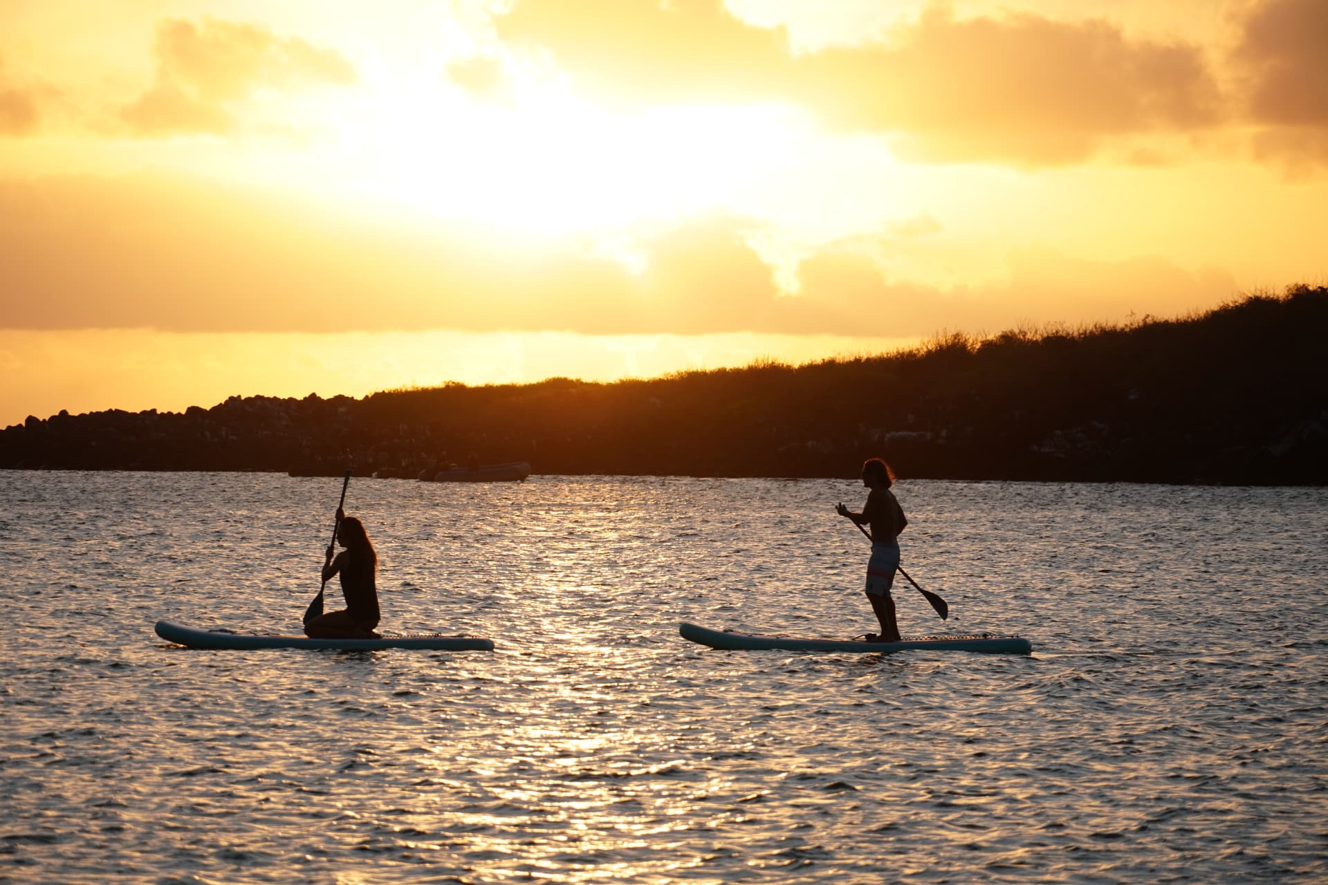 Two paddleboarders silhouetted against a golden sunset on the bay
