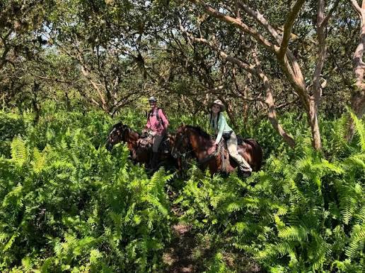 Galápagos Mountain Horse Ride