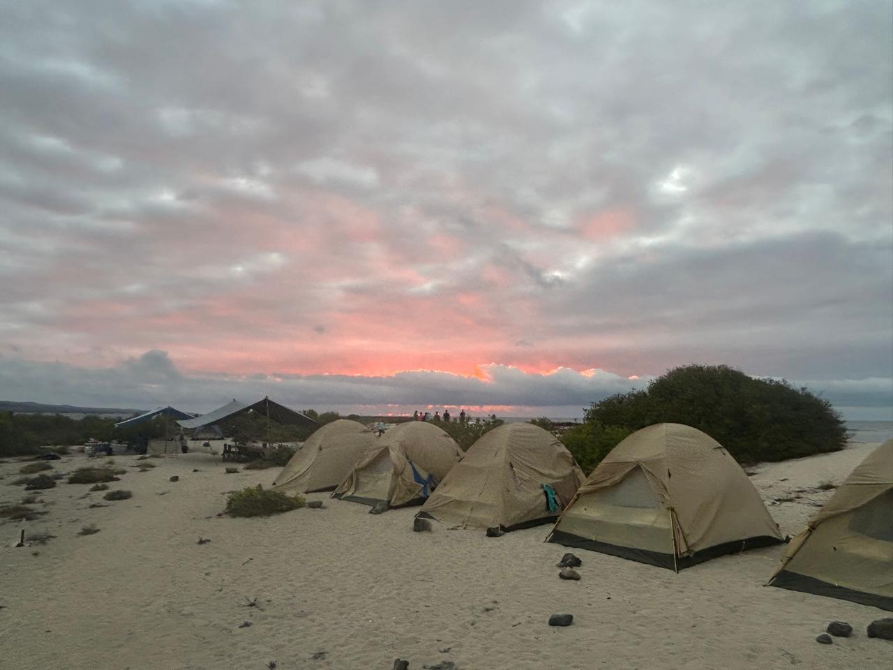 Tents at sunrise on a Galápagos beach camp