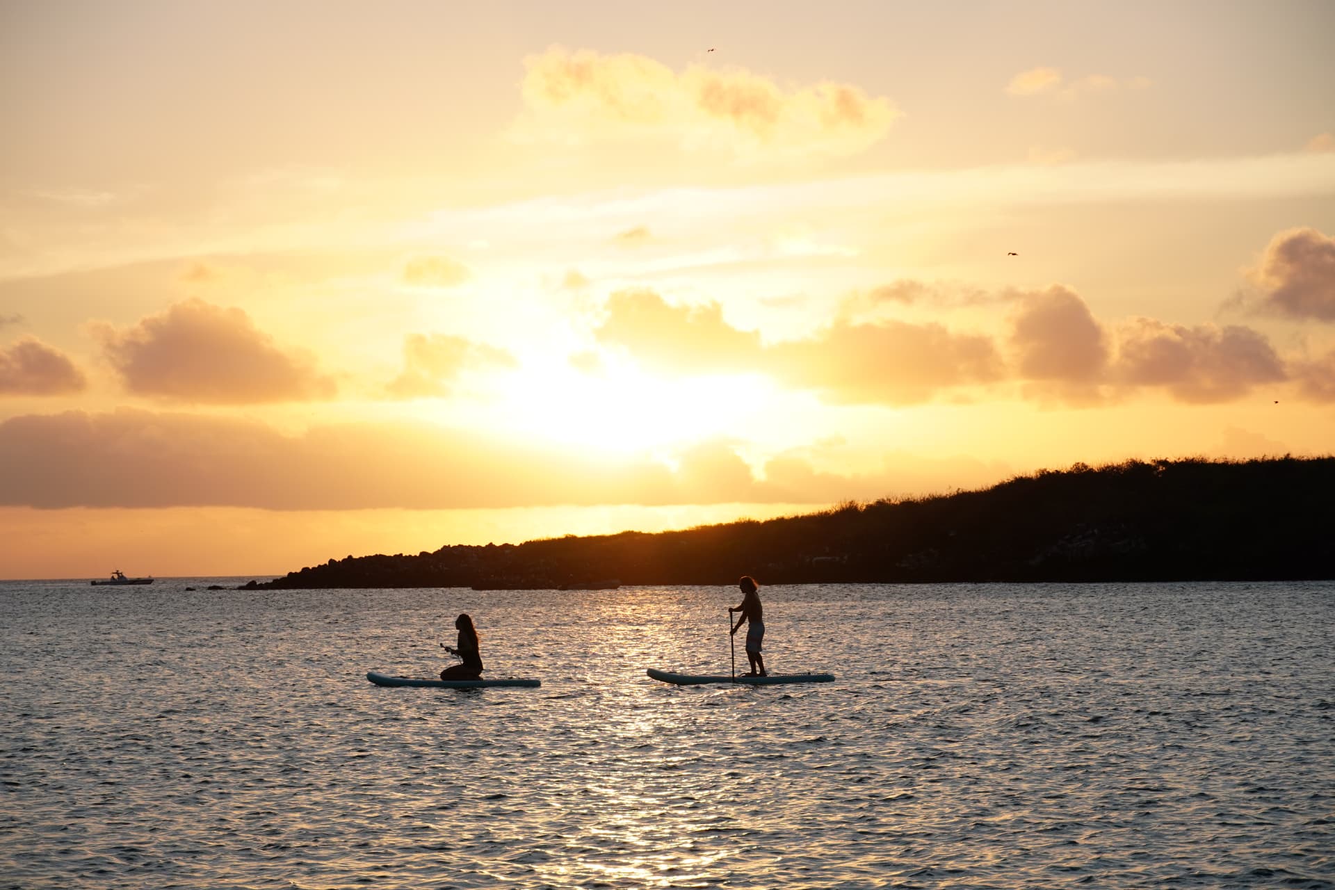 Two guests paddleboarding at sunset off the Galápagos coast
