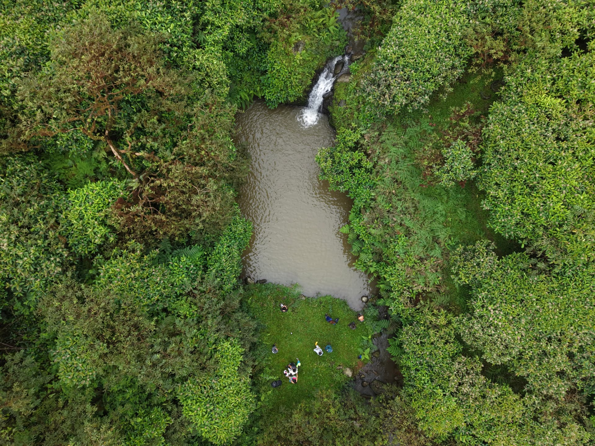 Aerial view of walkers resting on the grass beside the highland pool