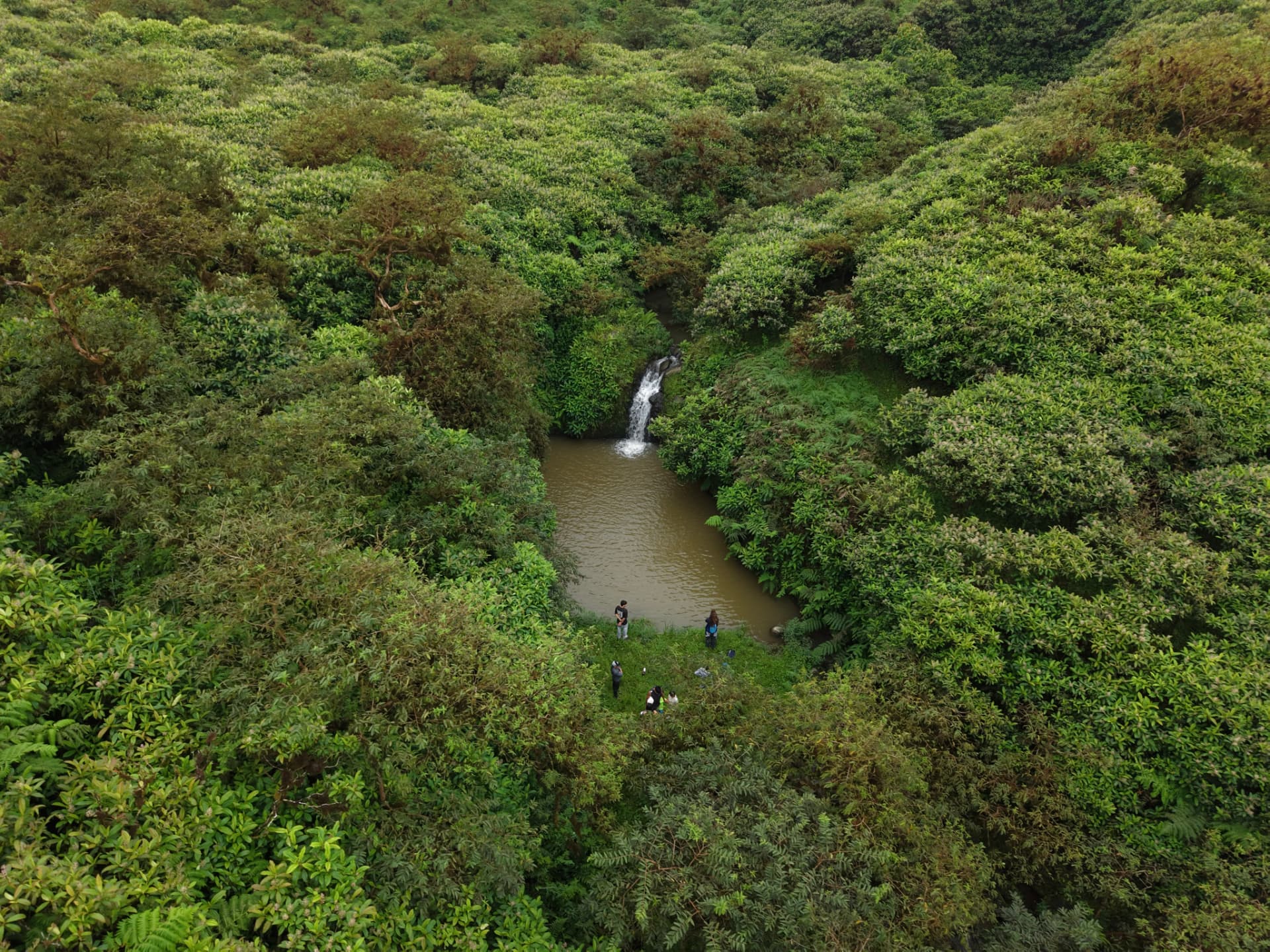 Aerial view of a hidden waterfall and forest pool in the San Cristóbal highlands