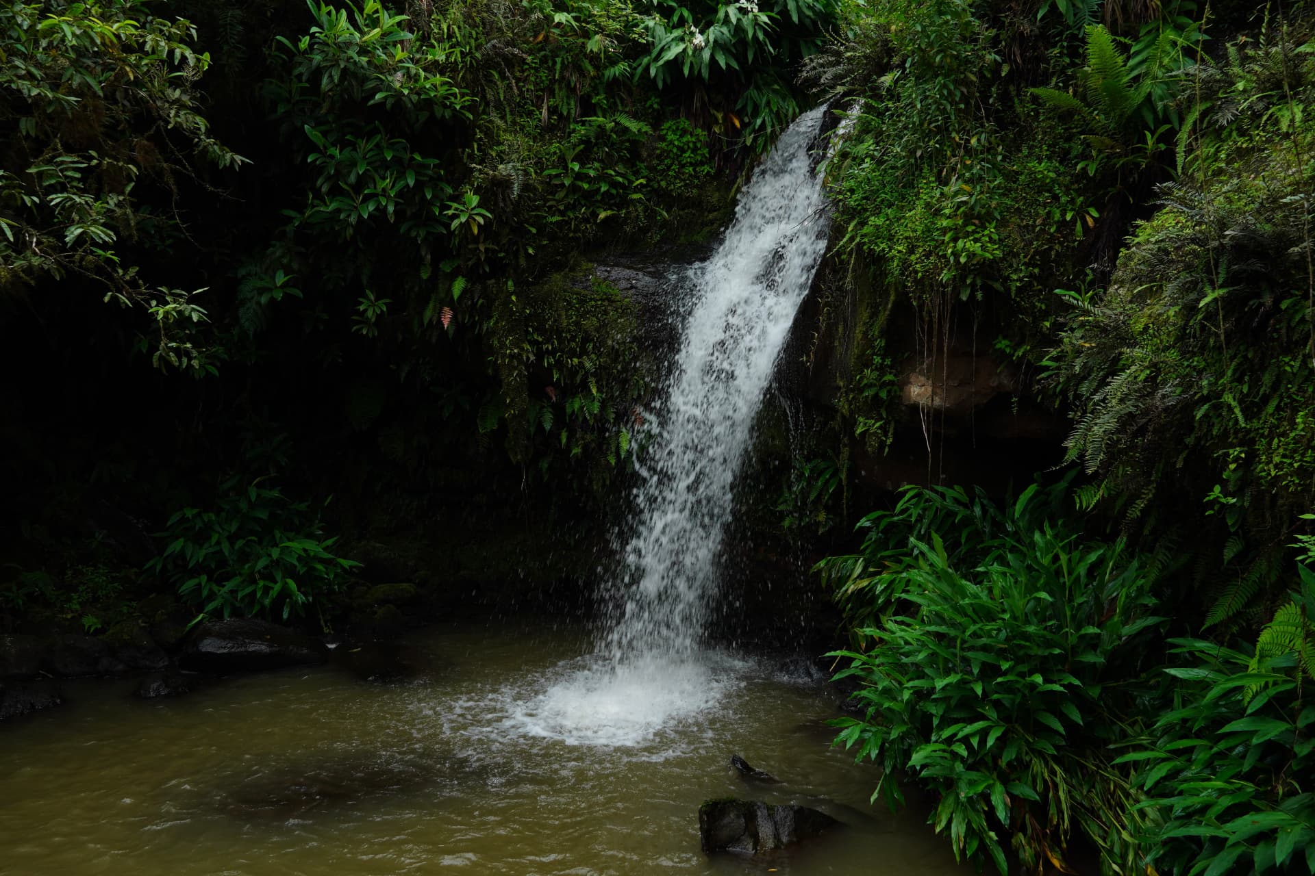 Waterfall falling into a clear pool in the San Cristóbal highlands