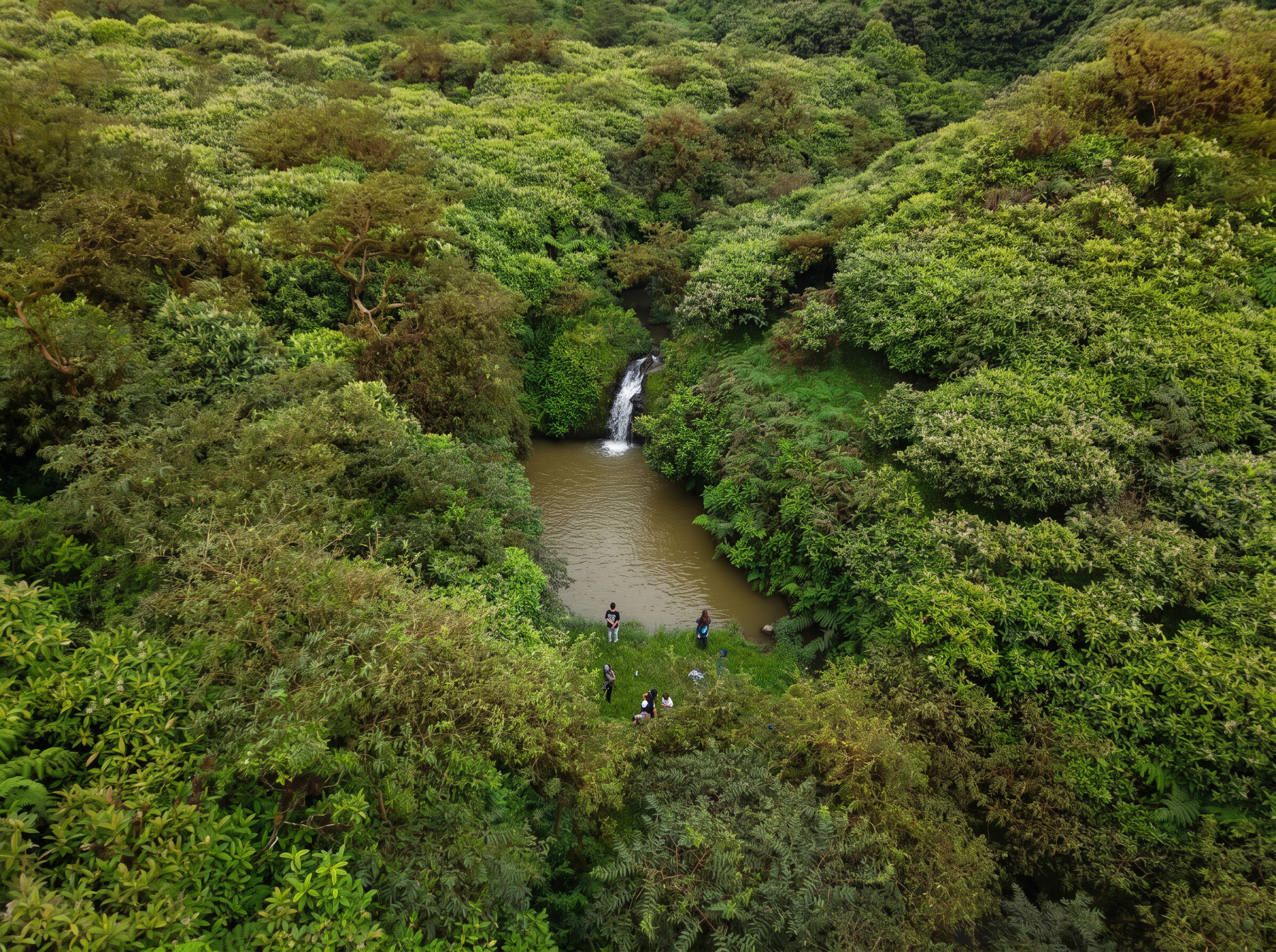 Aerial view of a waterfall and forest pool in the San Cristóbal highlands