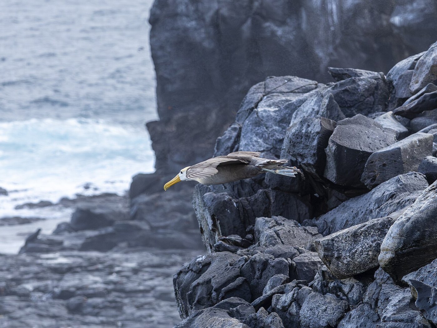 Española Island in the Galápagos