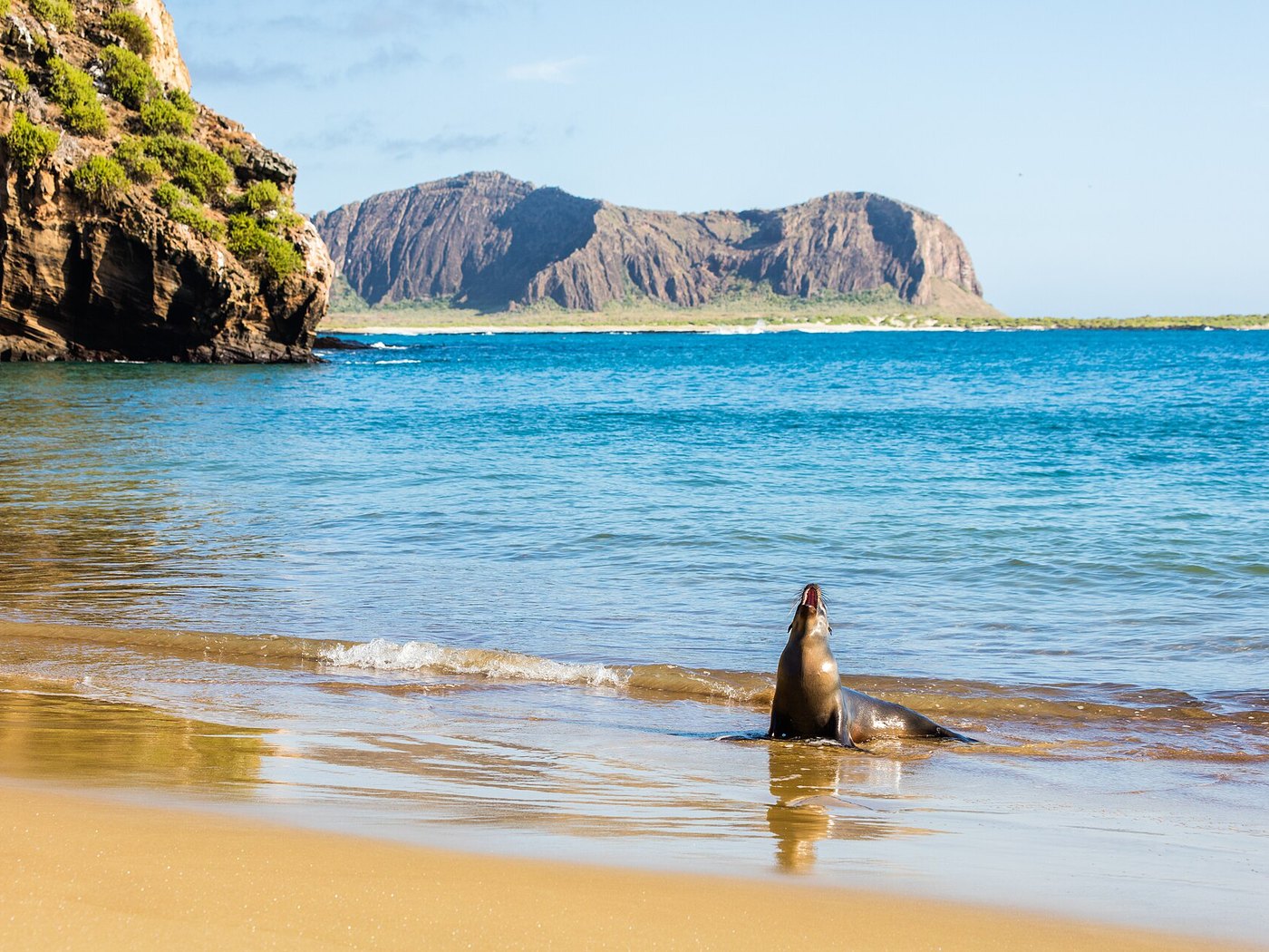 Punta Pitt in the Galápagos