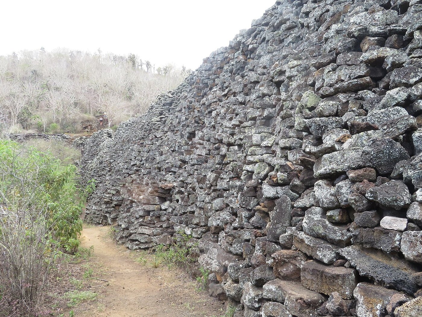 Wall of Tears in the Galápagos